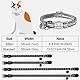 Taglory Reflektierend Katzenhalsband mit Sicherheitsverschluss und Glöckchen, 2-Stück Verstellbar Halsband Katze Kitten, 15-20cm Schwarz