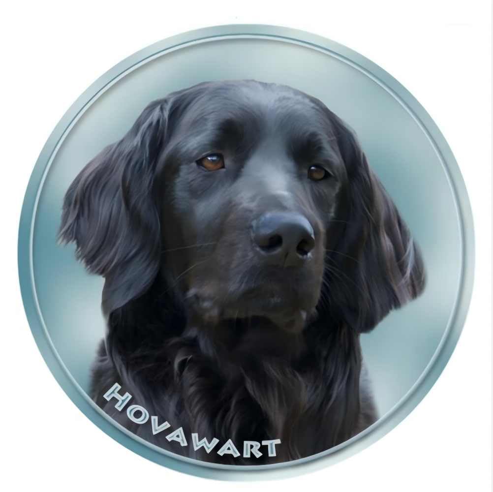 Hovawart Hund Aufkleber, Reflektierend Wasserfest, Lustige Aufkleber für Laptop, Kühlschrank, Auto, Stoßstange und Fenster (25cm/9.8 Inch)