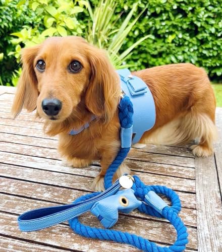 5ft-Braided-Cotton-Rope-Dog-Leash-with-Soft-Padded-Genuine-Leather-Handle-for-Small-Medium-and-Large-Dogs-Handmade-Comfort-Cute-Leash-for-Girl-and-Boy-Puppies-Blue