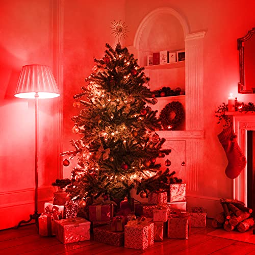 Evastary Led Red Light Bulb 60W Equivalent, A19 Led E26 Base Red Color Light Bulbs, 9W Red Led Bulb For Halloween, Christmas Decoration, Party, Bars, Porch Lights, Holiday Mood Lighting, Pack Of 2 #TOP2