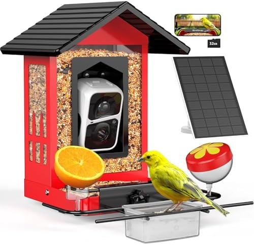 birdsnap® APS Metal Bird Feeder with Camera Solar 2K Video with 3...