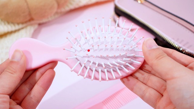 Amazon.com : FillTouch 24 Pcs Mini Hair Brush Set 12 Travel Wet