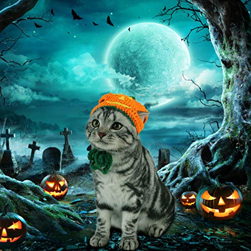Legendog Cat Halloween Costume Handmade Pet Pumpkin Hat Halloween Apparel for Cats Puppy Small Dogs - Thumbnail 4