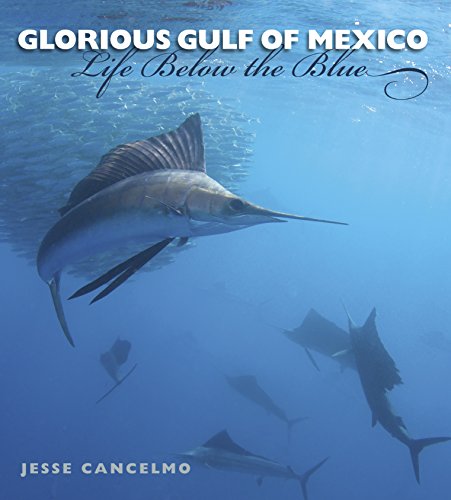 Glorious Gulf of Mexico: Life Below the Blue (Gulf Coast Books, sponsored by Texas A&M University-Corpus Christi Book 28)