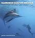 Glorious Gulf of Mexico: Life Below the Blue (Gulf Coast Books, sponsored by Texas A&M University-Corpus Christi)