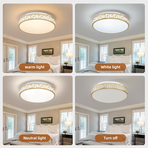 Plafonnier LED télécommande dimmable 3000K-6500K pour salon - 3