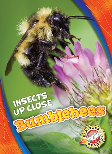 Bumblebees (Insects Up Close)