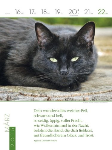 Katzen 2015: Literatur-Wochenkalender