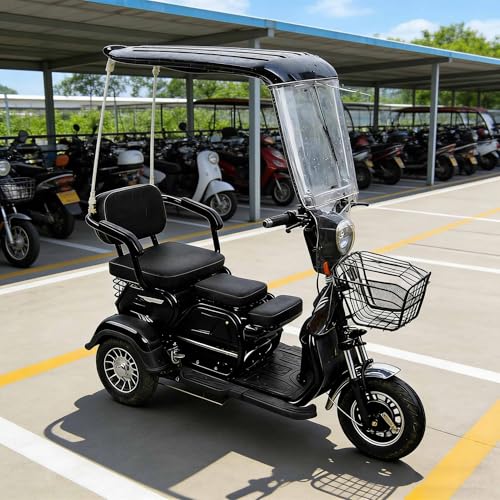 Housse pour tricycle électrique extérieure pour protéger du gel