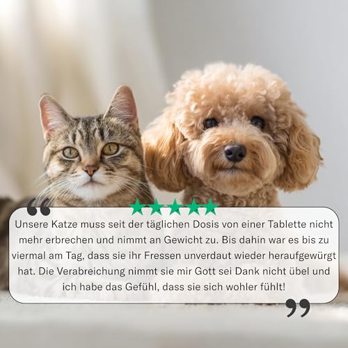 Gastro Entero Comfort 250 mg - Durchfall & Erbrechen bei Katzen, kleinen Hunden, Meerschweinchen & Kaninchen – pflanzliches Nahrungsergänzungsmittel für Magen & Darm – 90 Tabletten - Sensipharm