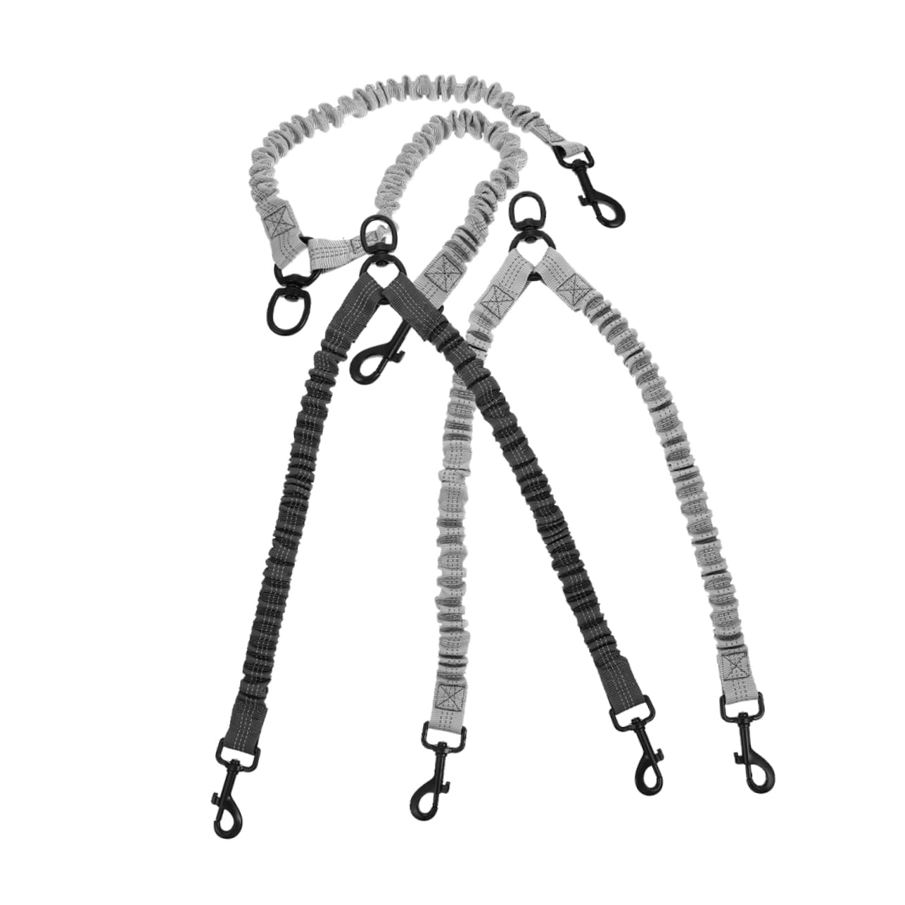 Laisse pour animaux de compagnie pour des balades sûres en extérieur en duo