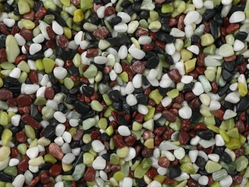 ōܐFʍ(ʌ΁j 򍻗 ܐFʍ 嗝΍   ܐFʐ  3i9~12mmj800g