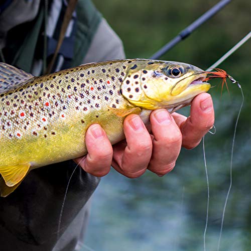 Goture Kit per pesca a mosca - 76 esche per pesca