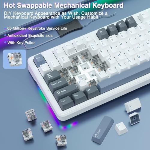 Image of AULA F87 Wireless Mechanical Keyboard | 75% TKL Gasket Custom Hot Swappable, 2.4Ghz /Type-C /Bluetooth Gaming | Pre-lubed Switch RGB Backlit (Smoke Blue, GrayWood Switch)