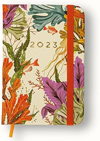 Collins Scandi Agenda Semainier 2023 Format A5 – Rose Foncé (PW53.GEPK-23) – Planificateur à Spirales Complet, Agenda Et Journal