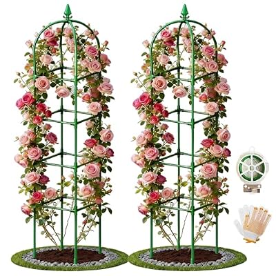 2 Pack Garden Obelisk Trellis for Climbing Plants, 72" Metal Rustproof Rose Trellis, Tower Potted Cages Plant Support for Flowers/Vegetables/Vines, Indoor Outdoor Garden Patio