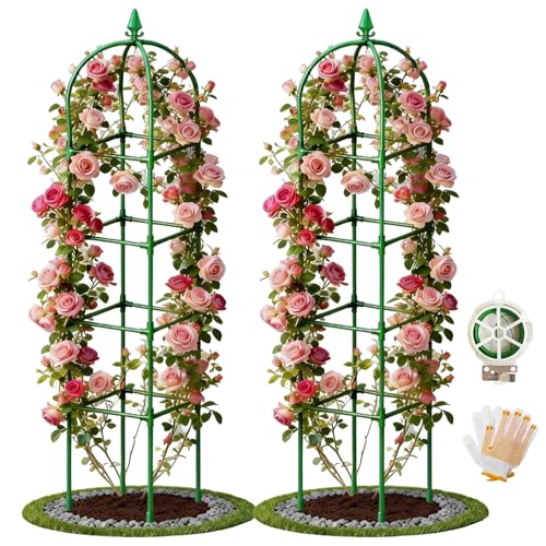 2 Pack Garden Obelisk Trellis for Climbing Plants, 72' Metal Rustproof Rose Trellis, Tower Potted Cages Plant Support for Flowers/Vegetables/Vines, Indoor Outdoor Garden Patio