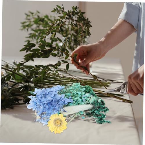 Flores secas prensadas para manualidades y decoración miniatura 6