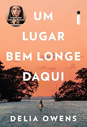 Um lugar bem longe daqui: O livro que inspirou o filme um lugar b...
