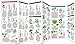 Invasive Weeds of North America (Nature Observation North America)
