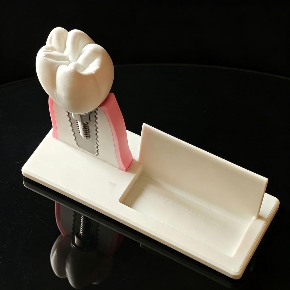 Soporte para Tarjetas de presentación Dental de Resina, Modelo Dental y Modelo de implante Dental, Soporte para Tarjetas de presentación, Adorno de Modelo de conducto radicular