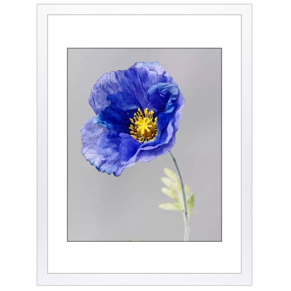 Drawing 17 / ホワイトウッドフレーム額装済み Drawing 17 / ホワイトウッドフレーム額装済み Drawing 17