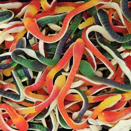 Sweets and Candy Yellow Belly Snakes 1Kg- Giant Gummy Snakes with Yellow Foam Bellies 1kg Bulk Bag of Spooky Halloween Jelly Treats Fruity Candy for Trick or Treat Parties & Pick and Mix