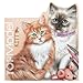 Produktbild Depesche 12713 TOPModel Kitty Malbuch figürlich Kitty and Doggy