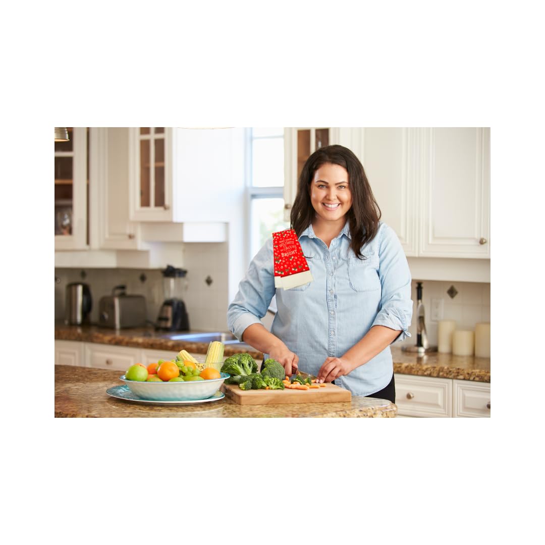 (2) Xmas Red Winter Kitchen Bathroom Hand Dish Towel Sets 15x25 100% Polyester Gifts Matching Decorative Set Fall Holiday Home Decor Cute Cooking Baking Drying(May Your Holidays Be Furry and Bright)