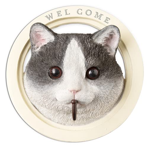 LV} kishima K[fjO  IuWF G  tbN   i` ˂ KH-61243 TCY