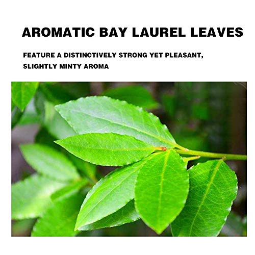 Whole Bay Leaves 2 Ounces, Whole Bay Leaf Dried, Gluten Free Raw Non-Irradiated & Non-Gmo, Bay Laurel Leaves Spice Pair Well In Stew, Soup, Sauce, Seafood, Meat And Vegetable Dishes #TOP3