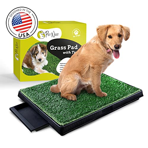 Top 10 Best Dog Potty Boxs [Experts 2023 Reviews]