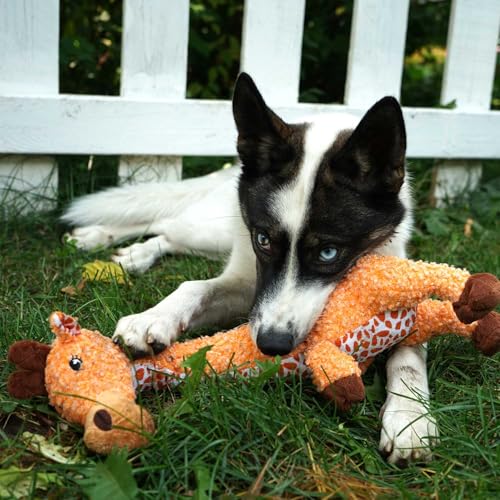 KONG Shakers Luvs Giraffe Large – Extra langes, quietschendes Hundespielzeug für große Hunde – Weiches Zerr- & Wurfspielzeug mit Plüschtier-Design für interaktiven Spielspaß
