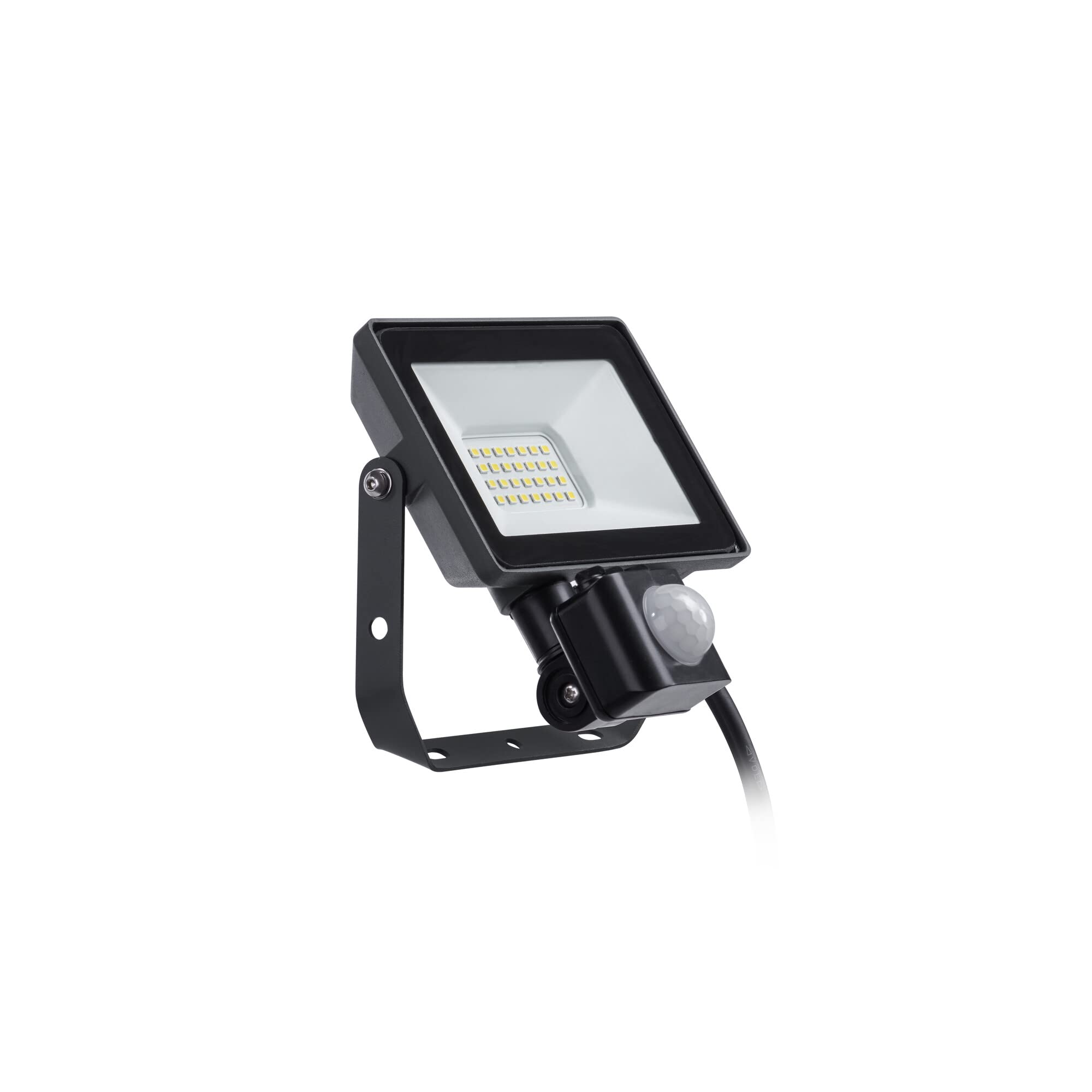 Flood Light
