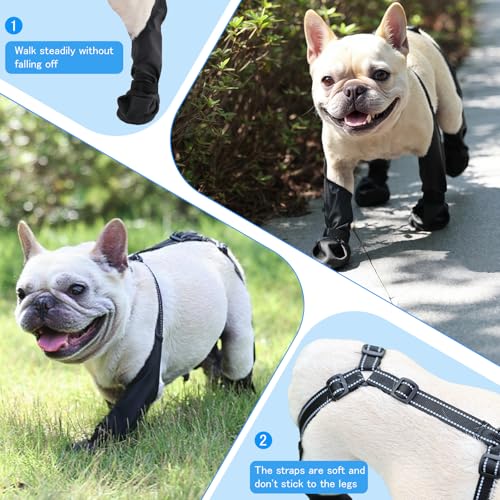 BECROWM wasserdichte Hundestiefel, Hundepfotenschutz für kleine bis mittelgroße Hunde, verstellbare Schuhe für Haustiere zum Gassi gehen, weiche Schuhe für Haustiere, Pfotenschutz (Schwarz, Mittel)