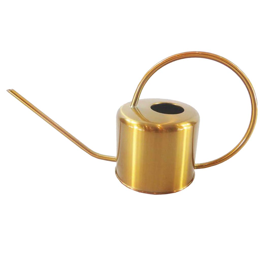 Arrosoir en Acier Inoxydable avec Longue Verseuse et Style Élégant pour Soins Réguliers des Plantes d'Intérieur Adapté Véranda Balcon Séjour