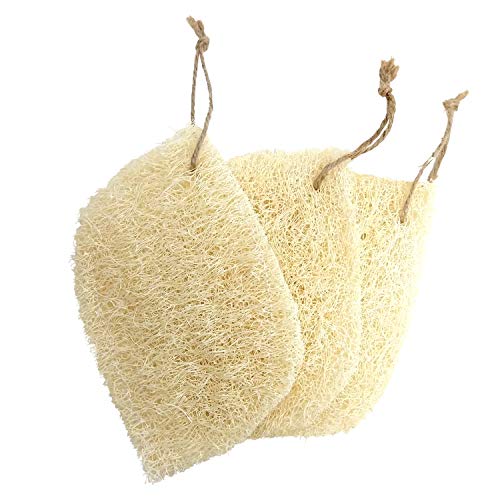 Earthtopia Set di 3 Spugne per Piatti e Stoviglie