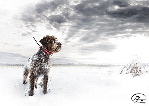 SportDOG Brand TEK Series 2.0 GPS Tracking System - 10 Mile Range - Waterproof and Rechargeable - Expandable to Locate… - Image 2