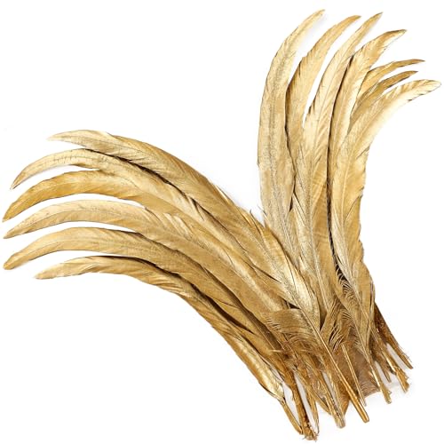 Holmgren Gold Rooster Tail Feathers - 60pcs 12-14inch Long Metallic Rooster Tail Feathers Bulk for DIY Crafts Costume and Halloween Party Performances Decoration (Gold)