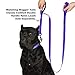 “Classic Comfort Dog Collar Premium Nylon Neoprene Padded Dog Collar for XLarge Sized Dog Comfortable Collar for Your Dog by Wagtime Club (Vibrant Purple) XL