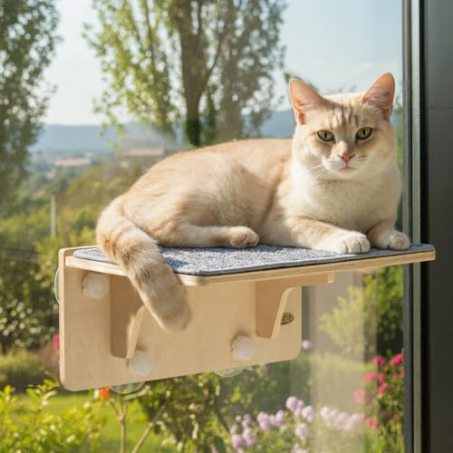 pecute Kletterwand Katzen, 2-in-1 für Wand & Glas, Katzenkletterwand mit Waschbar Abnehmbar Filzunterlage, Katzenliege Fenster Fensterplätze mit Große Saugnäpfe für Katzen, Großkatzen (M) pecute Kletterwand Katzen, 2-in-1 für Wand & Glas, Katzenkletterwand mit Waschbar Abnehmbar Filzunterlage, Katzenliege Fenster Fensterplätze mit Große Saugnäpfe für Katzen, Großkatzen (M)