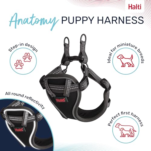 Image of Halti Anatomy Puppy & Small Dog Harness | Size XXS, Grey | Soft & Comfortable Step-in Harness, 4 Adjustable Points, Lightweight & Reflective, For Miniature and Toy Dog Breeds