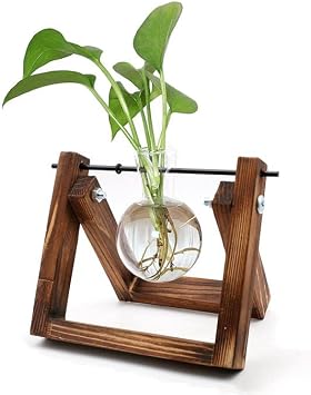 Glass Planter Bulb Vase Plant Propagation Stations, Desktop Air Plant Terrarium with Wooden Stand Propagation Planters Glass for Hydroponics Plants Lover Gift