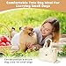 LCUHAVA Hundetasche für Kleine Hunde Tragetasche Hund Hundetragetasche bis 5kg Hundetransporttasche 41 x 30 x 18 cm, Faltbar, Atmungsaktiv, mit Sicherheitsgurt, für Kleine Hunde Kaninchen Katze