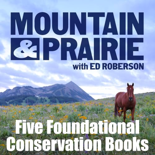 Five Foundational Conservation Books That Shaped How I See the West