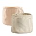 Fairy Baby Organic Cotton Baby Belly Button Band Umbilical Hernias Truss Pack of 2(S,Fit Waist for 18.11"-19.68")