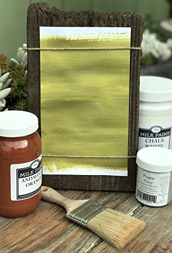 Sinopia All Natural Artisanal Milk Paint Kotinos Green (5 Gallon)