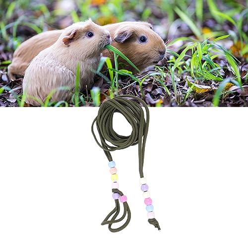 Image of Reptile Lizard Harness Leash Bearded Dragon Rope Adjustable Small Animal Traction Rope for Lizard Reptiles Amphibians Small Animal (OD Green)