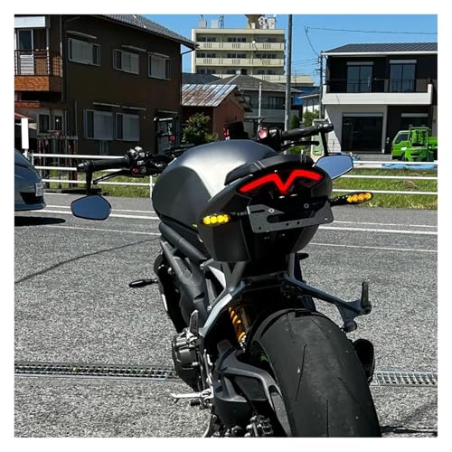 Support plaque d'immatriculation Speed Triple 1200RS robuste et rigide - 5