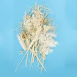 Pequeñas Flores Secas,Flores Secas Perfumadas (Serie beige